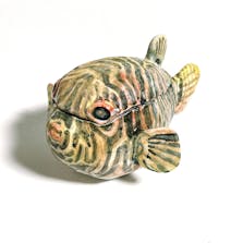 ふぐはこ モヨウフグ